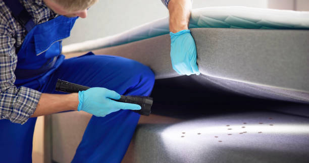 Best Flea Control Services  in Mineral Springs, AR