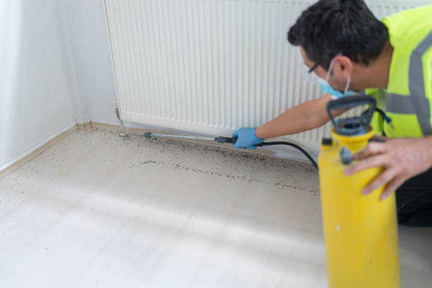 Best Best Pest Control Companies  in Mineral Springs, AR
