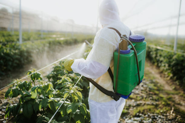 Best Pest Control for Businesses  in Mineral Springs, AR